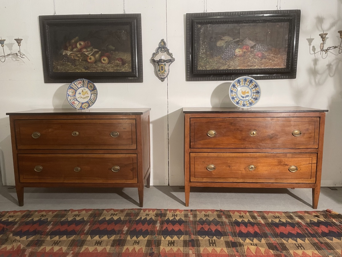 Antique Pair Of Louis XVI Dressers , Southern Italy, 18th–19th Century 