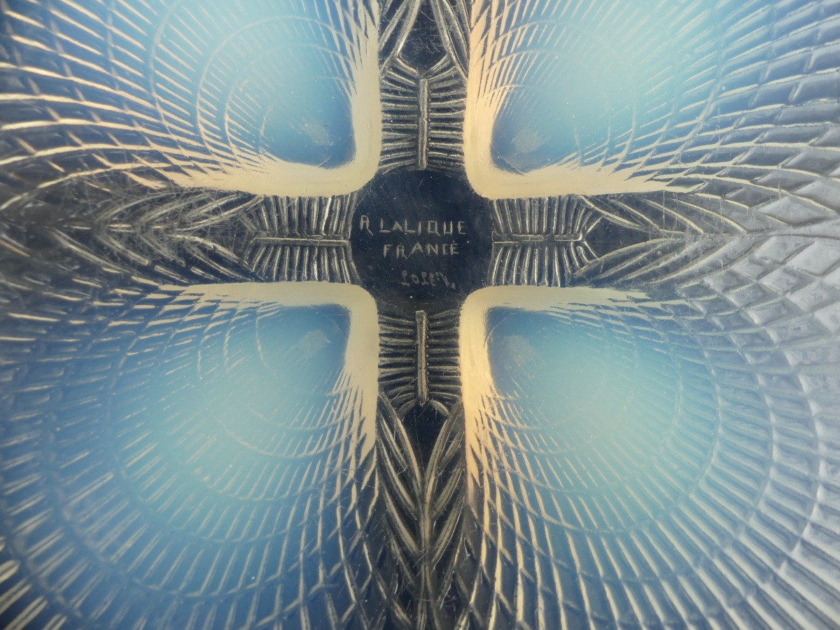 Coupe rené Lalique, " coquilles ", années 1920.-photo-1