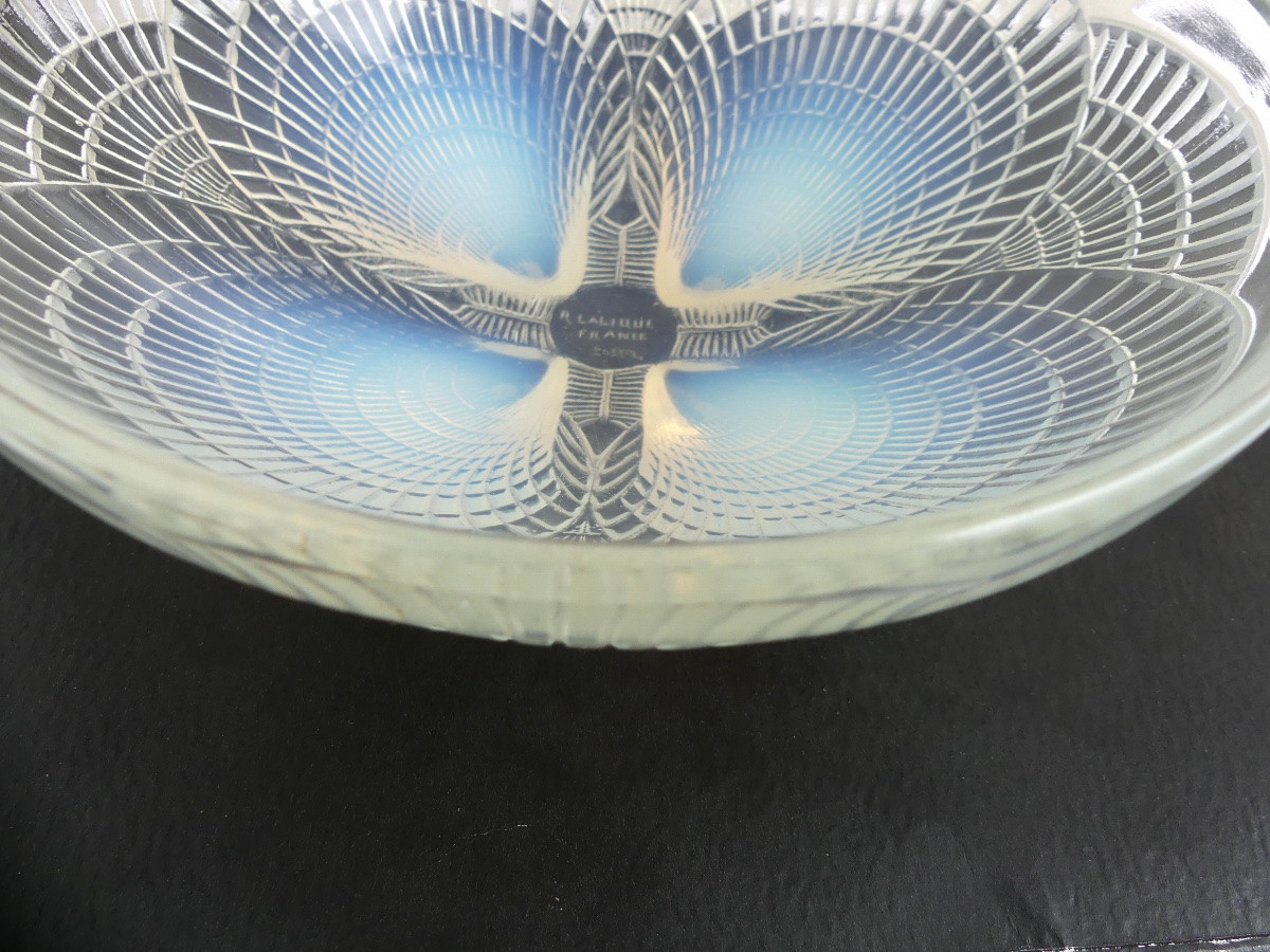 Coupe rené Lalique, " coquilles ", années 1920.-photo-2