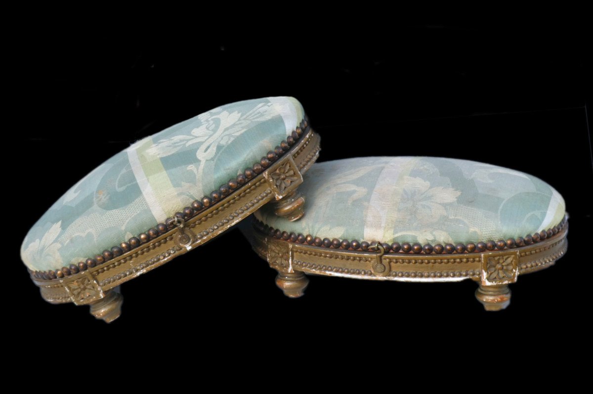 Pair Of Foot Rests, 19th Century Period, Louis XVI Style, Heater, Dog Cushions
