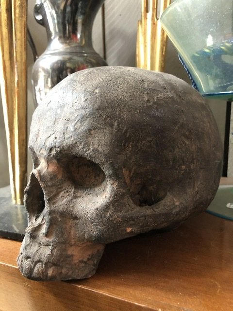 Vanité.  (crâne,tête De Mort). Vanité sculptée en terre cuite,travail original de la fin du XIX