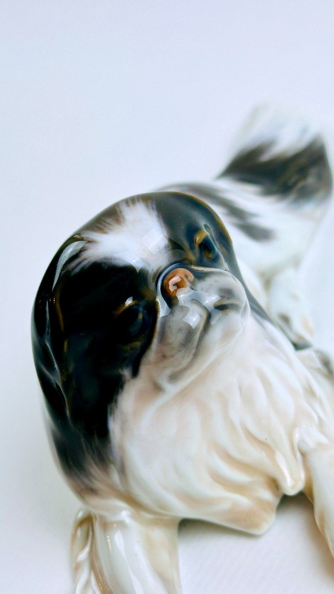 Figurine En Porcelaine Pékinois Royal Copenhaguen-photo-7