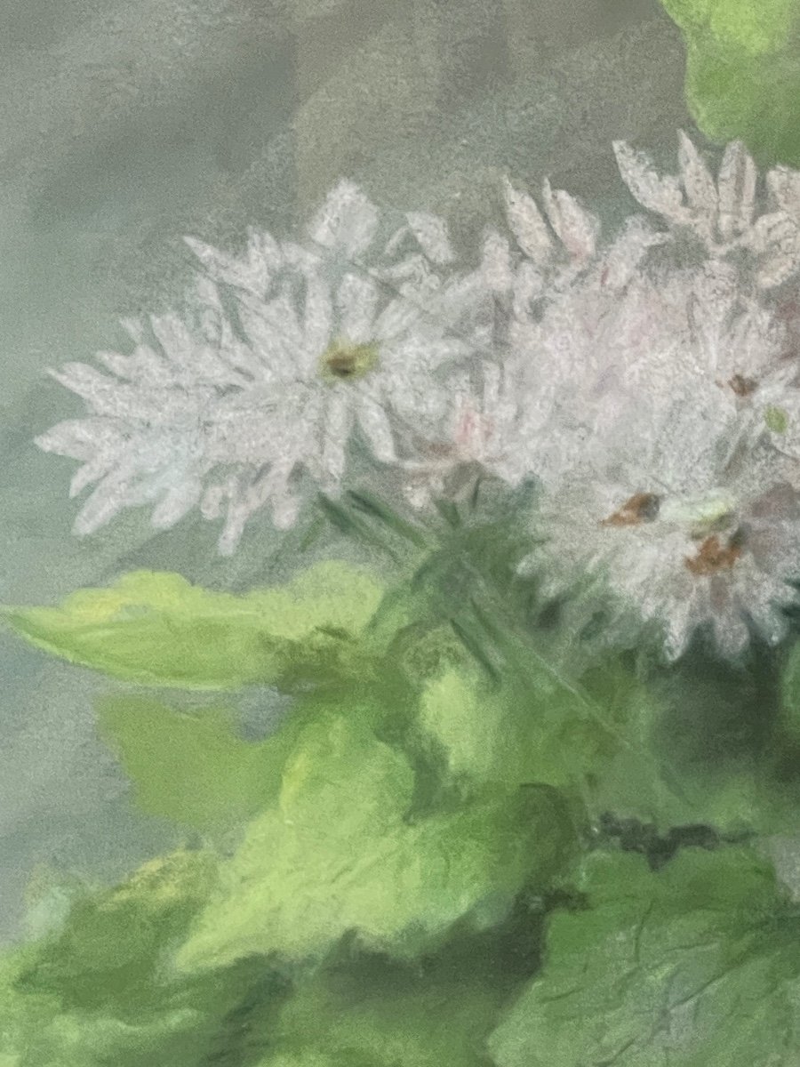 Pastel, Potted Plants-photo-1