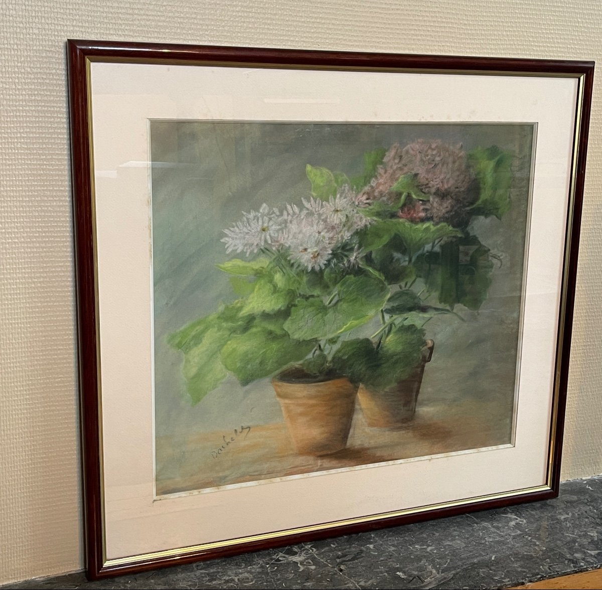 Pastel, Potted Plants