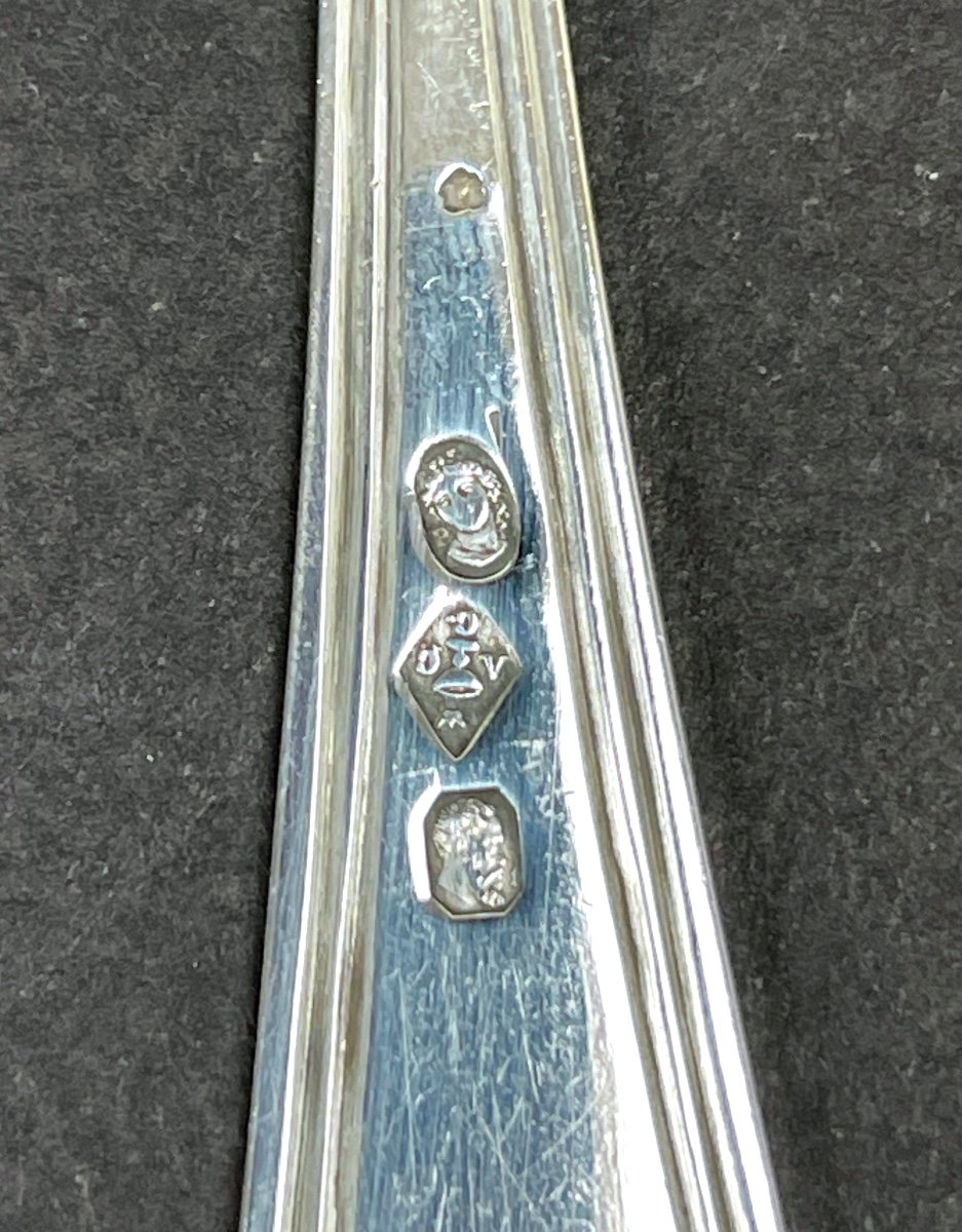 Sprinkling Spoon, 18th/19th Century Sprinkler-photo-3