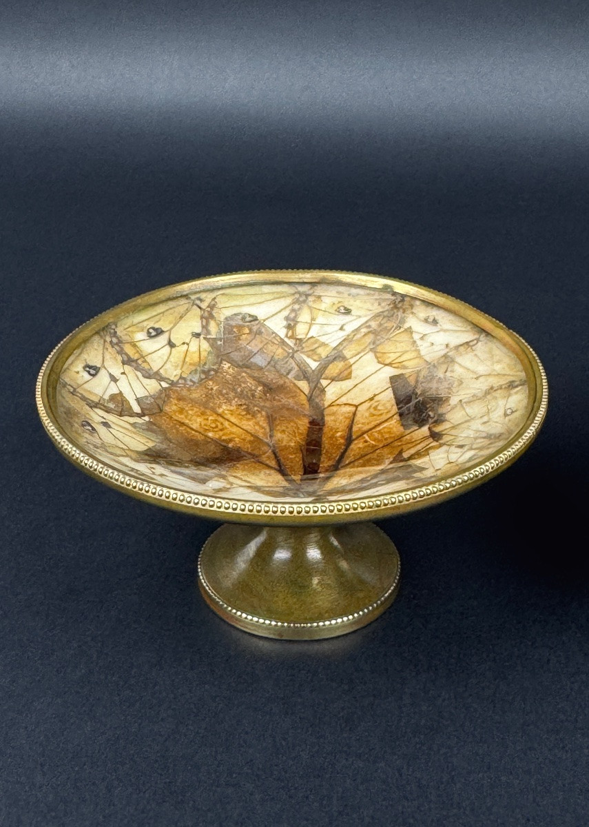 Paire de coupelles, baguiers Napoléon III – Ailes de papillons , monture en laiton-photo-2