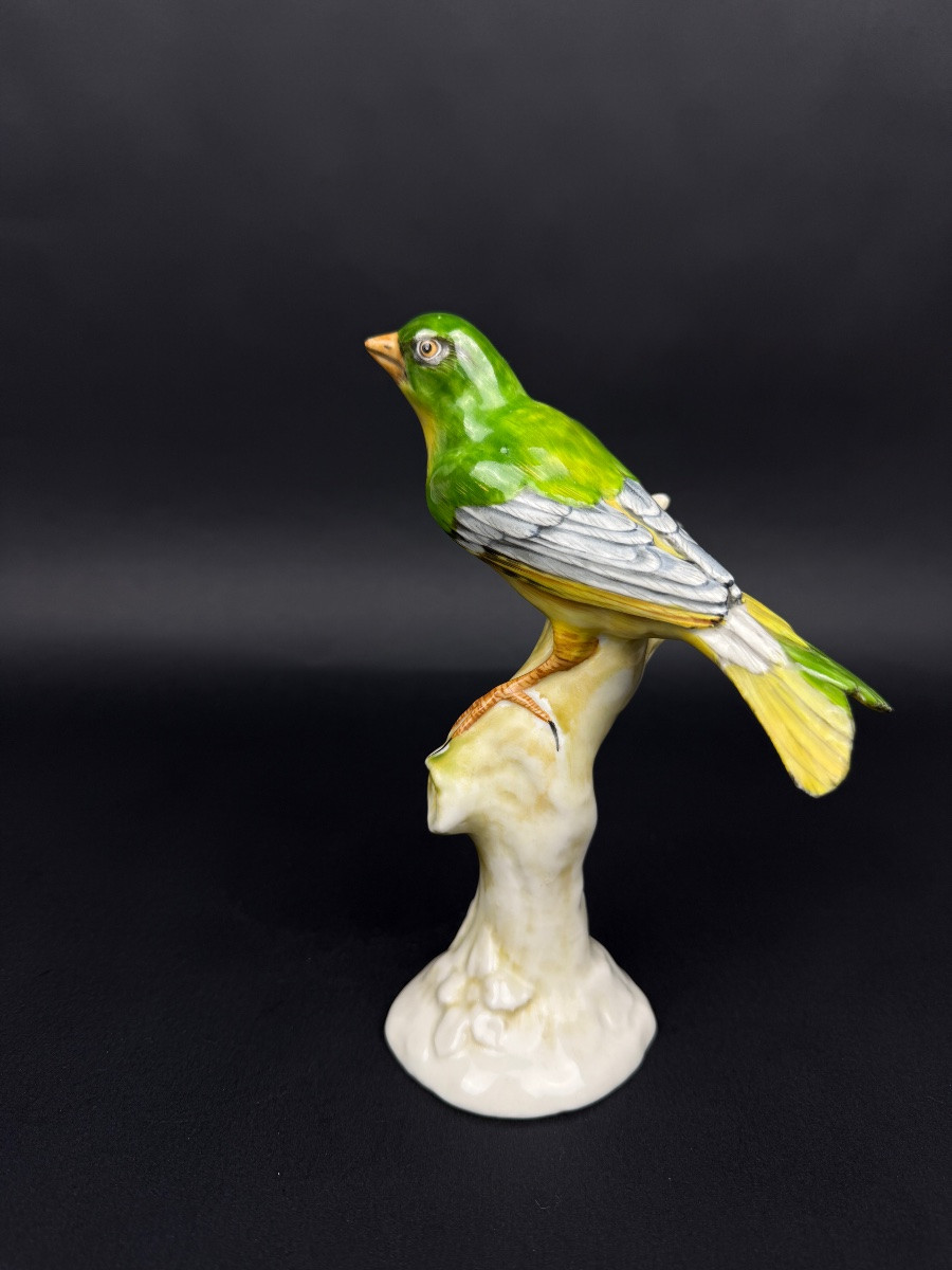 Oiseau branché en porcelaine de Saxe, Ludwigsburg ?-photo-2