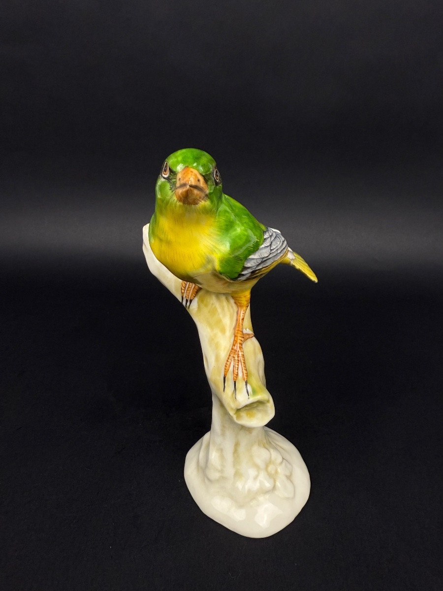 Oiseau branché en porcelaine de Saxe, Ludwigsburg ?-photo-1