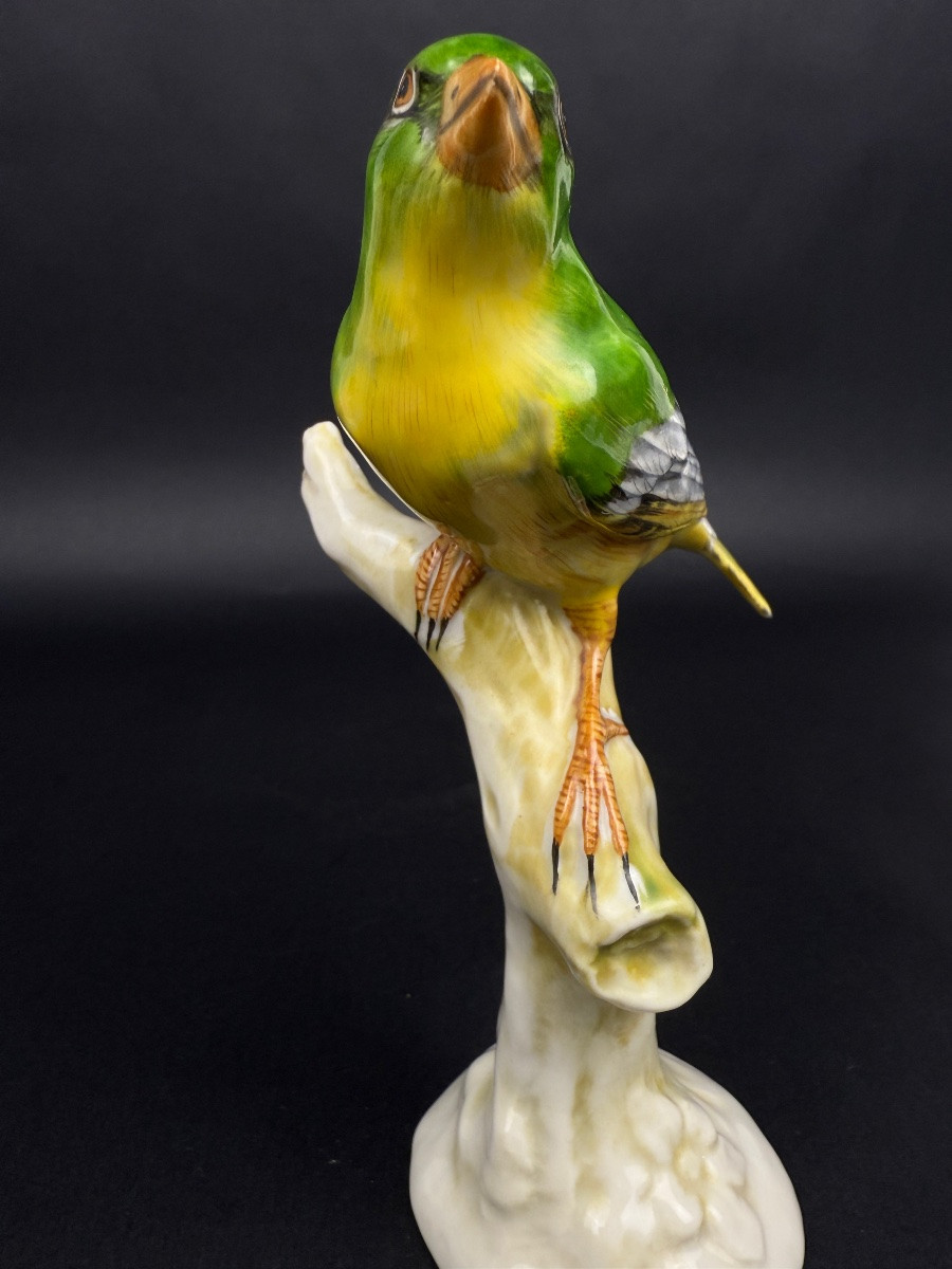 Oiseau branché en porcelaine de Saxe, Ludwigsburg ?-photo-3