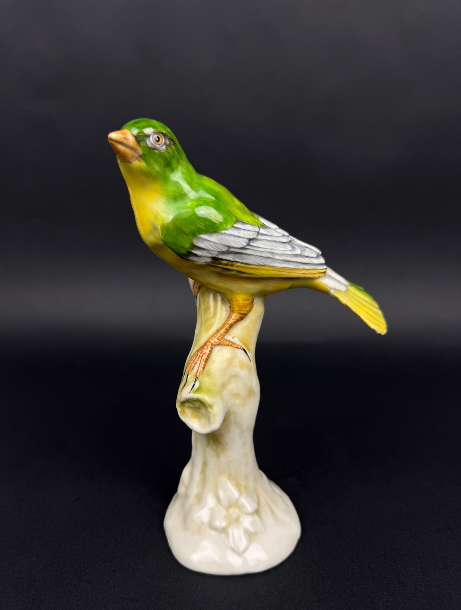Oiseau branché en porcelaine de Saxe, Ludwigsburg ?