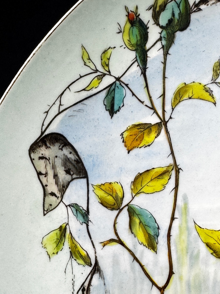 Large Limoges Porcelain Dish With Branched Birds-photo-4