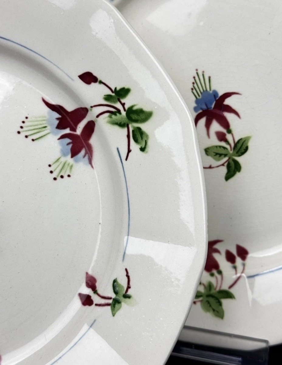 Suite de 6 assiettes plates Sarreguemines, modèle Bermudes – vers 1950-photo-3