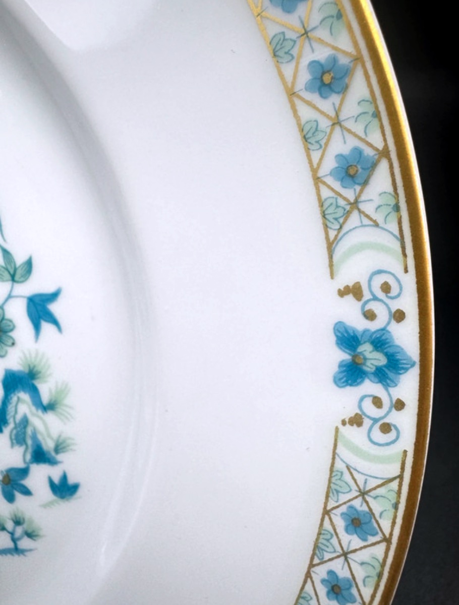 Set Of 6 Haviland Limoges Nankin Model Dinner Plates -photo-1