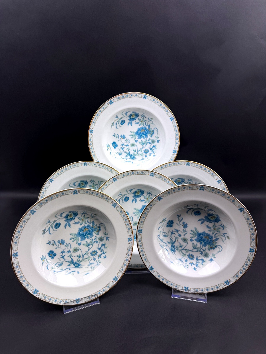 Série de 6 assiettes à soupe Haviland Limoges modèle Nankin 