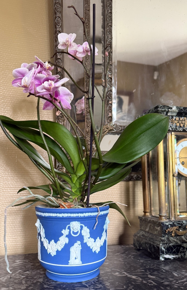 Jasper Cachepot, Wedgwood Cobalt Blue Porcelain Biscuit 2367.019