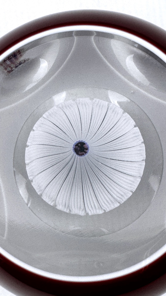 Sulfure, presse-papier Saint-Louis 1969 bouquet de fleurs-photo-5