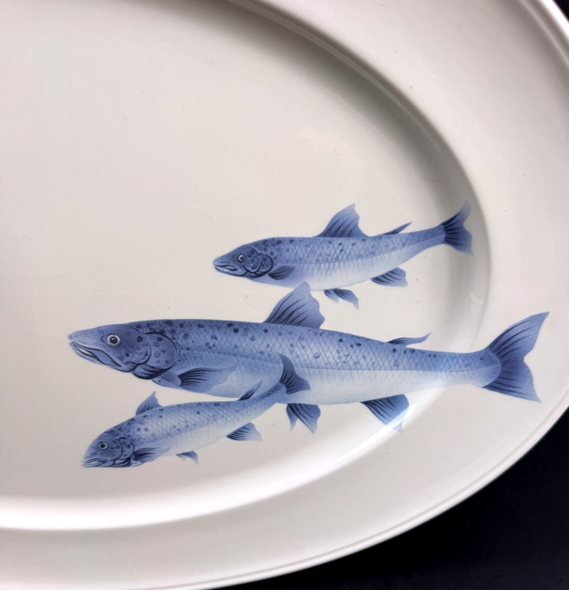 Villeroy & Boch, plat à poisson modèle Pescara-photo-2
