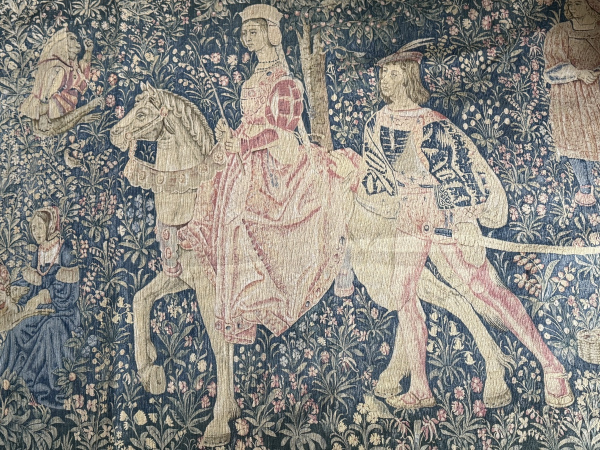 Old Tapestry, The Noble Amazon-photo-2