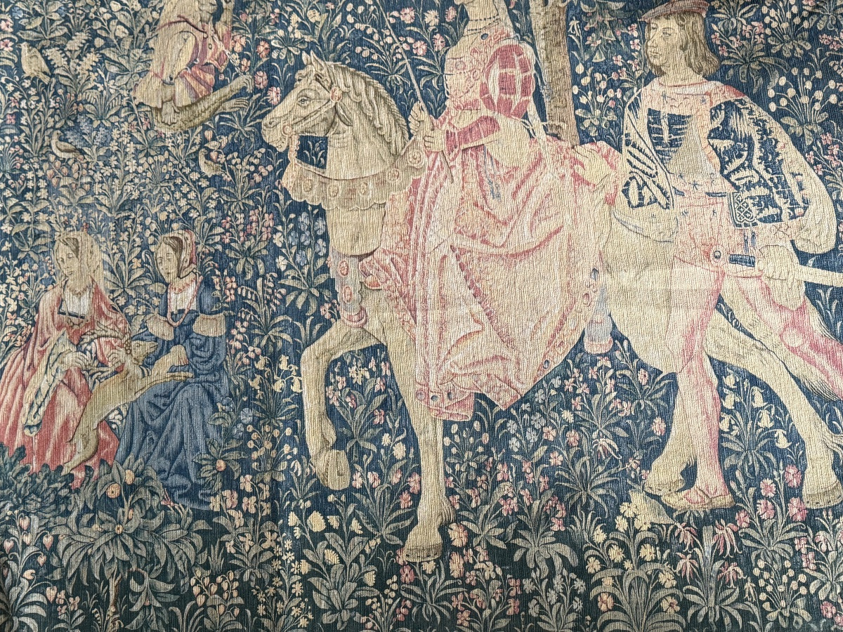 Old Tapestry, The Noble Amazon-photo-3