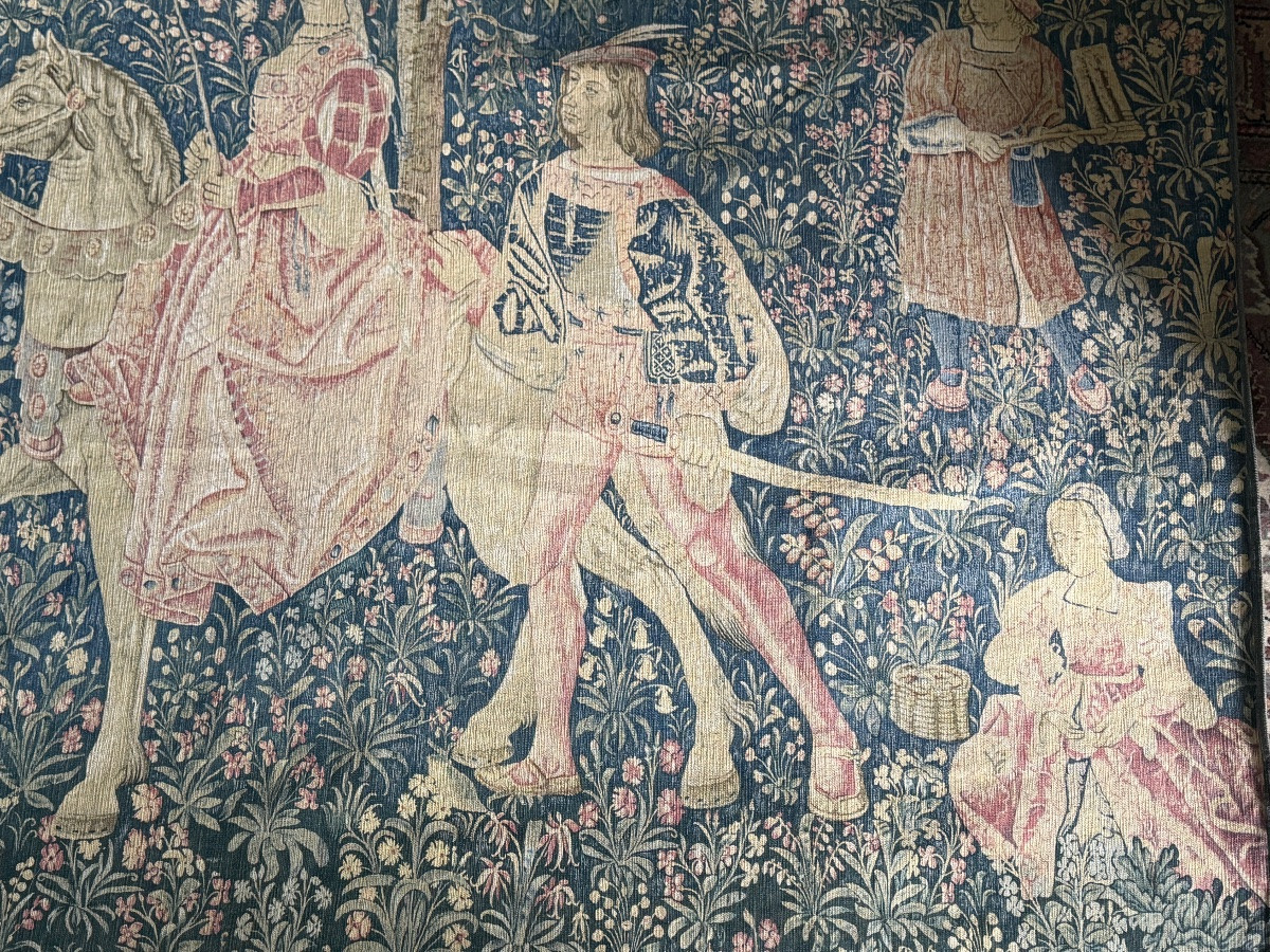 Old Tapestry, The Noble Amazon-photo-4