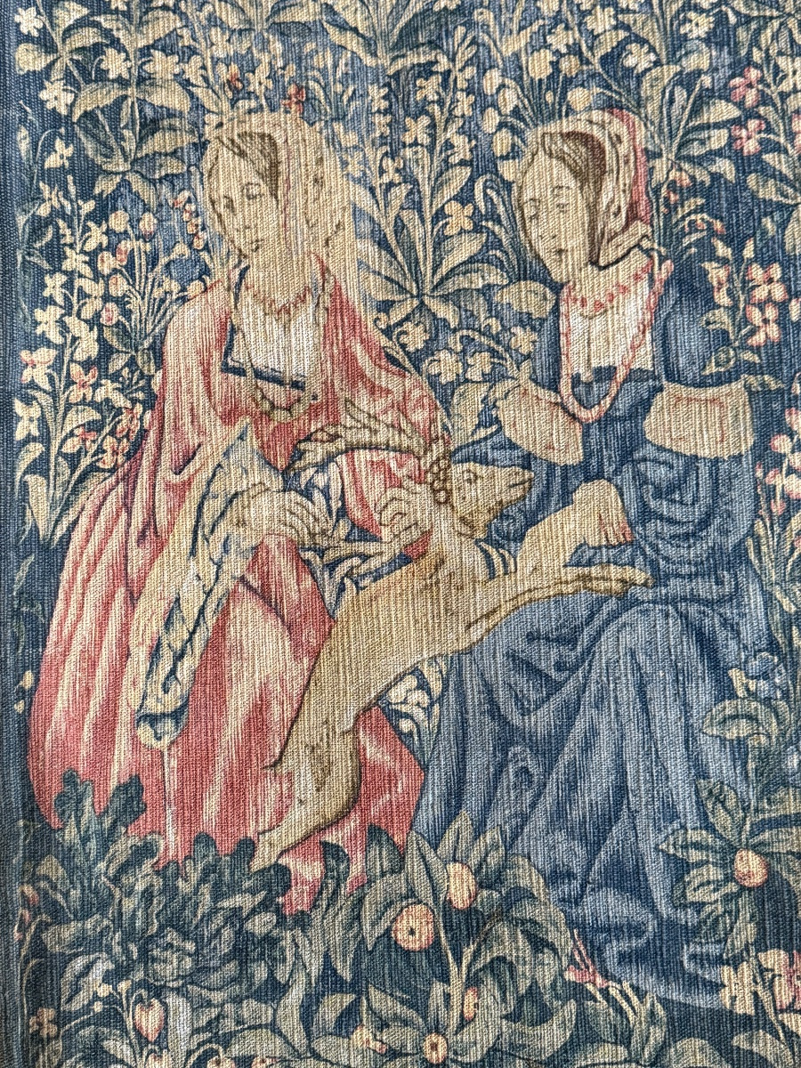 Old Tapestry, The Noble Amazon-photo-1