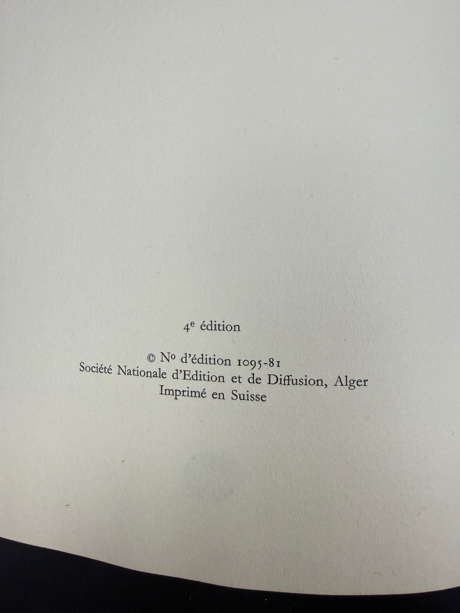 Algerian Miniaturist Mohammed Racim-photo-6