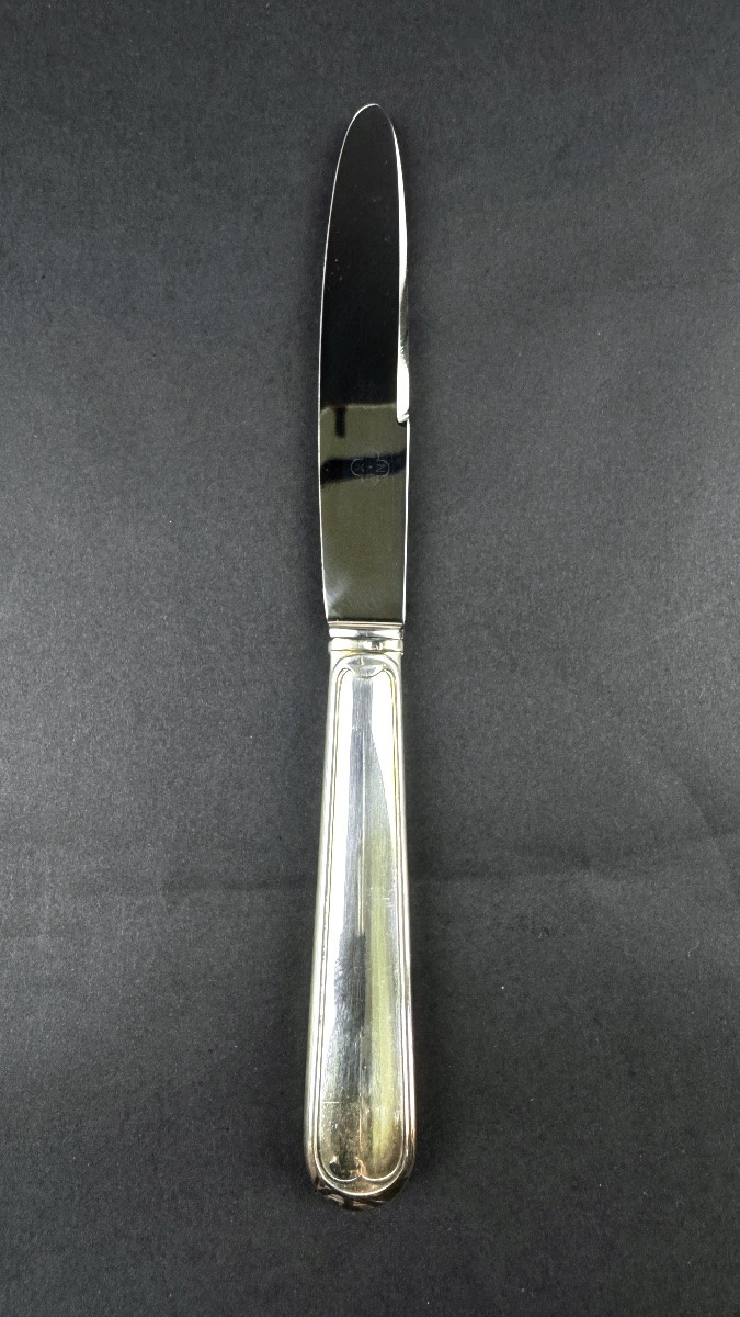 Coffret de 24 couteaux en métal argenté SFAM, modèle filet-photo-4