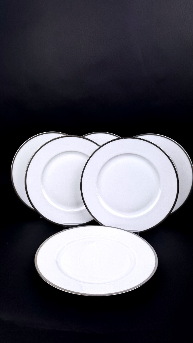 Raynaud, Fontainebleau Platine, Suite Of 6 Wing Plates 25 Cm-photo-3