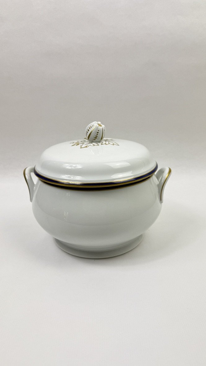 Chastagner Limoges – 45-piece Tableware Set In Oven Blue And Gold-photo-3