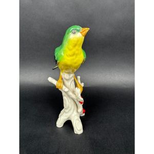 Oiseau en porcelaine polychrome Saxe Allemagne figurine vintage