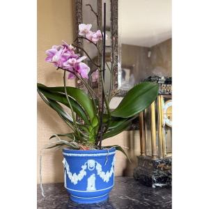 Cache-pot en jaspe, biscuit de porcelaine Wedgwood bleu cobalt                         2367,019