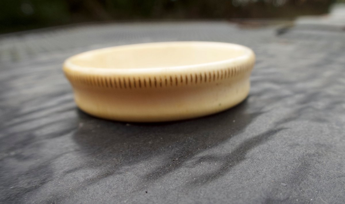 Veterinarian's Plesimeter Basin, 1898-photo-4