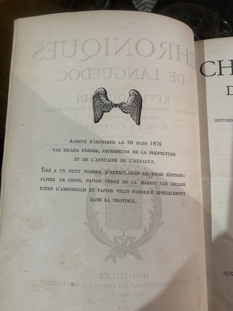 Languedoc Chronicles 2 Vols 1875/1876-photo-2
