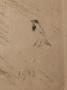 1660813-6928be1cd69b3.jpg