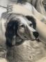 1768077-6a185a748f535.jpg