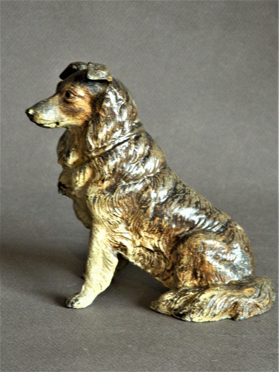 Chien Border Collie Assis En Plomb De Nuremberg Peint Style Bronze De Vienne-photo-2