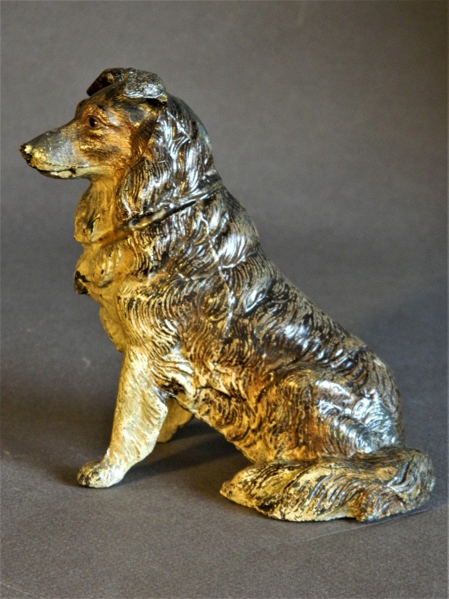 Chien Border Collie Assis En Plomb De Nuremberg Peint Style Bronze De Vienne-photo-3