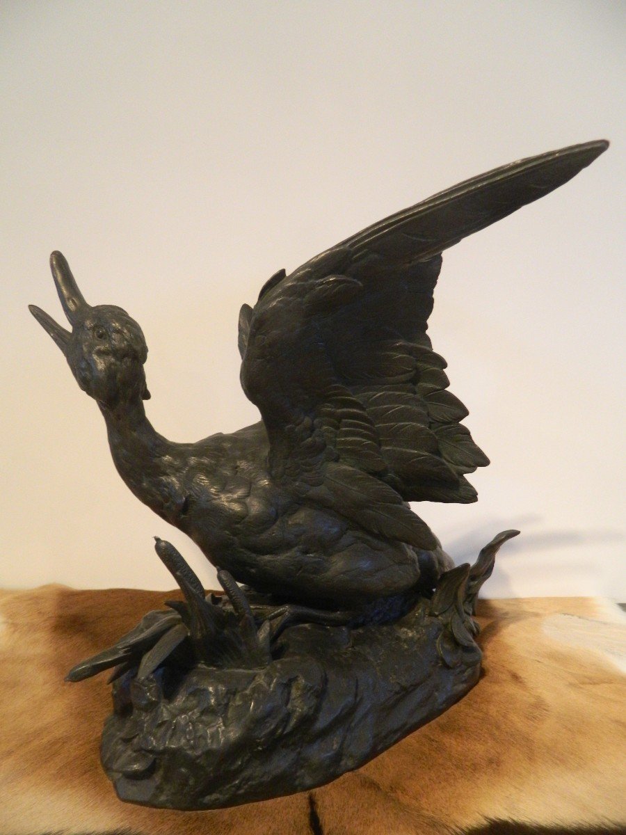 Large Spelter Sculpture "duck Trapped" Signed Comolera-photo-2