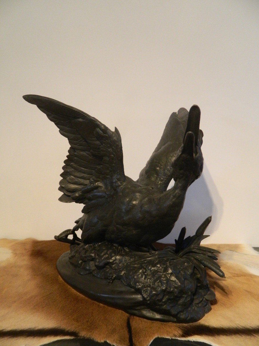 Large Spelter Sculpture "duck Trapped" Signed Comolera-photo-1