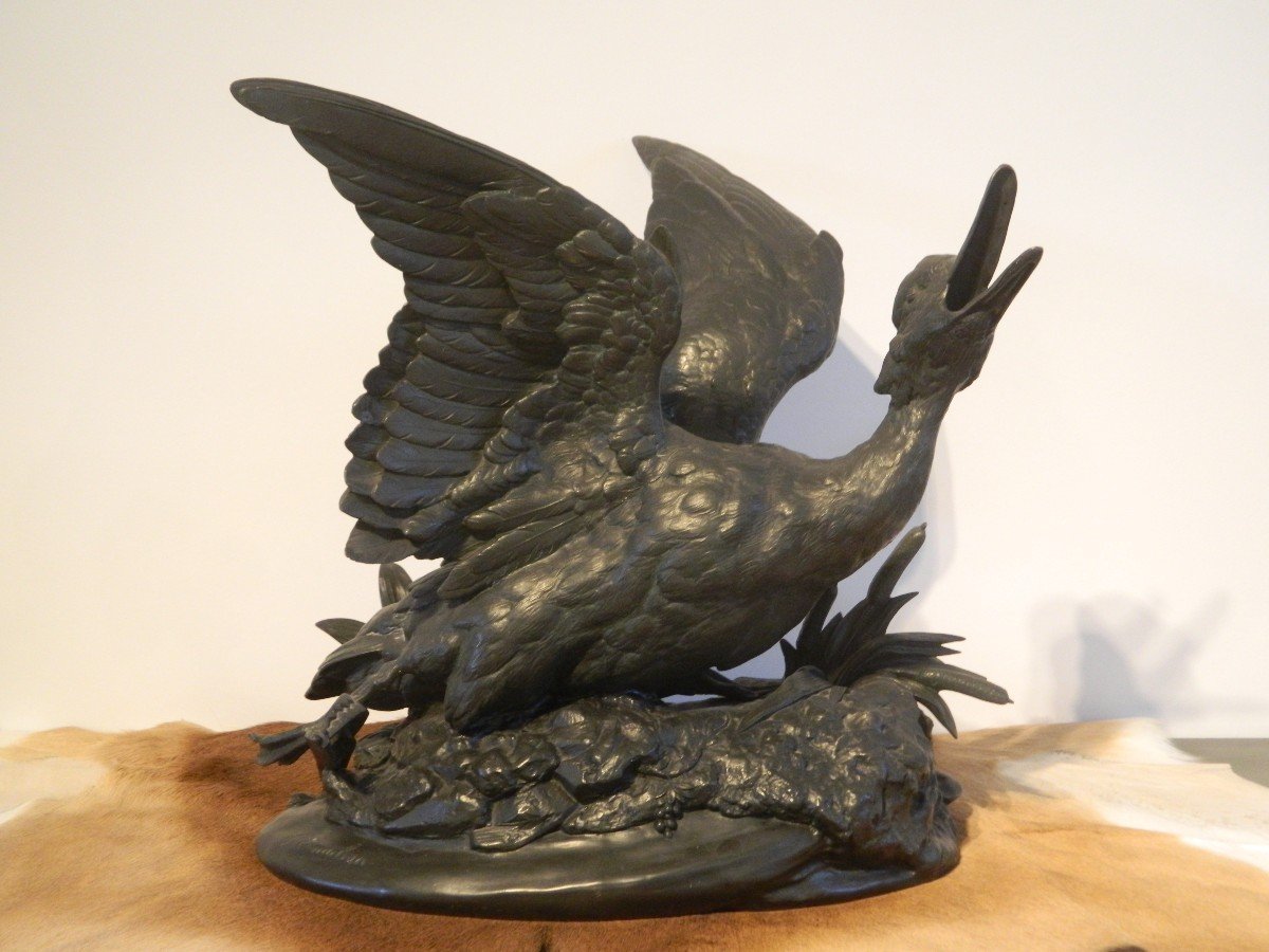 Large Spelter Sculpture "duck Trapped" Signed Comolera