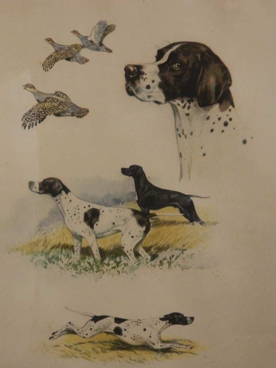 Paire De Lithographies Chiens De Chasse Par Boris Riab-photo-3