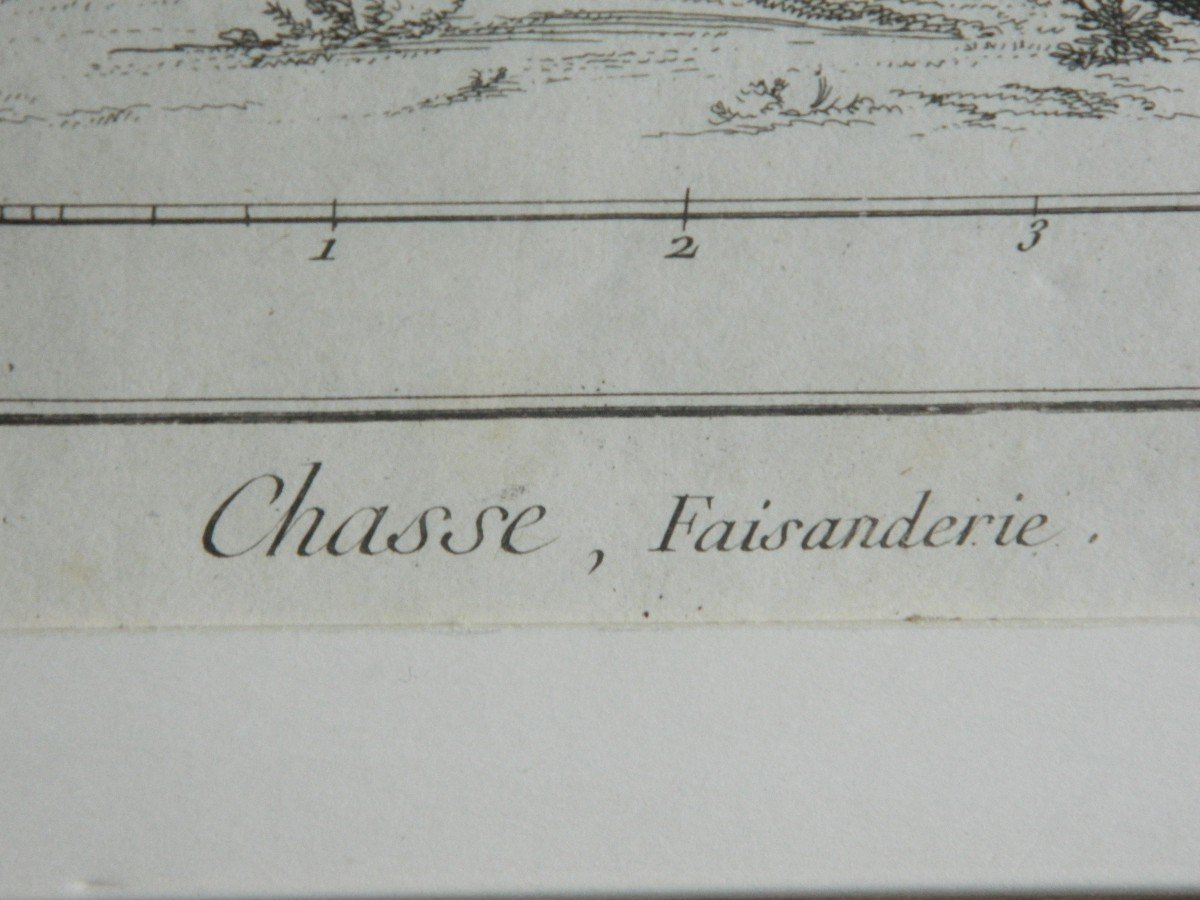 "Chasse, Faisanderie" Gravure Diderot et d'Alembert, 18ème Siècle-photo-2