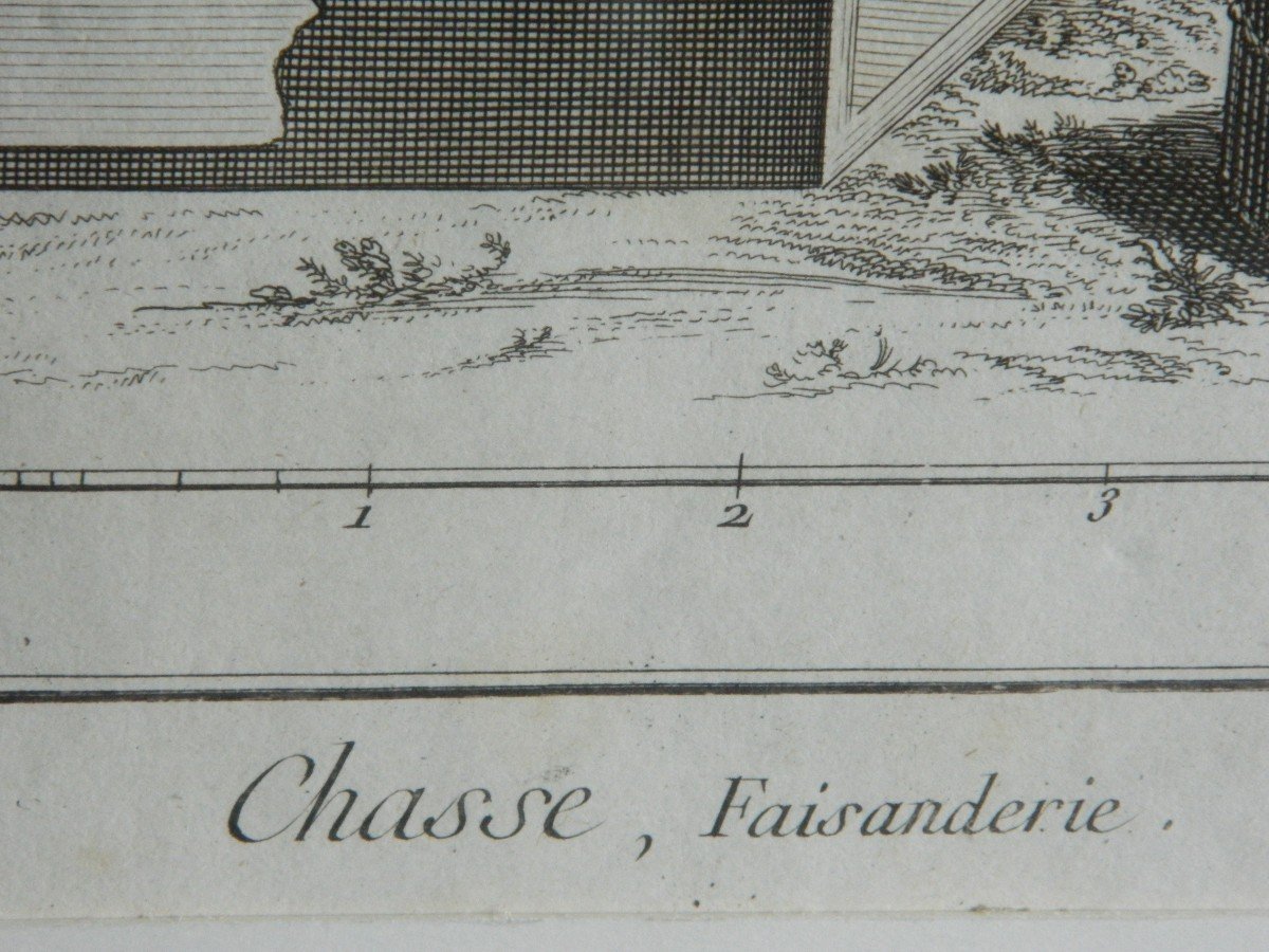 "Chasse, Faisanderie" Gravure Diderot et d'Alembert, 18ème Siècle-photo-3