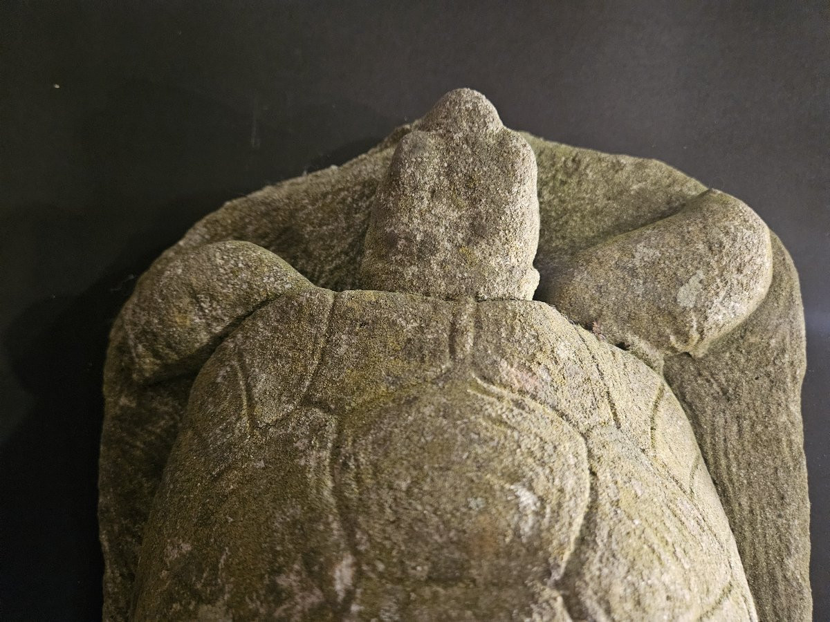 Tortue de jardin en béton-photo-3