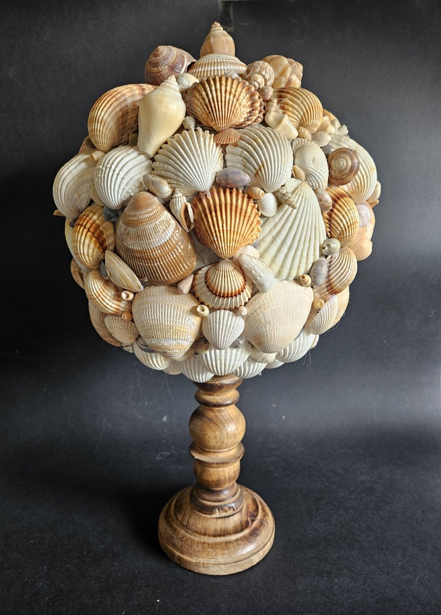 Shell Ball Mounted On A Wooden Base-photo-2