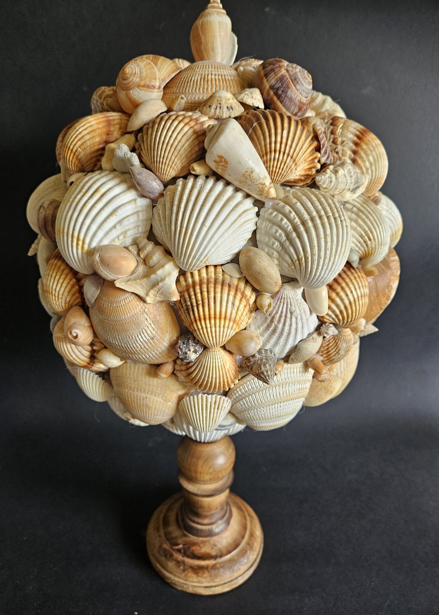 Shell Ball Mounted On A Wooden Base-photo-3
