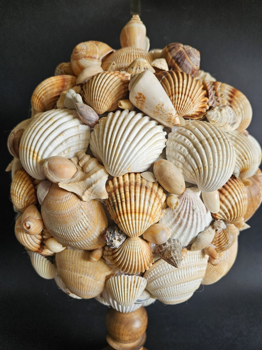 Shell Ball Mounted On A Wooden Base-photo-4