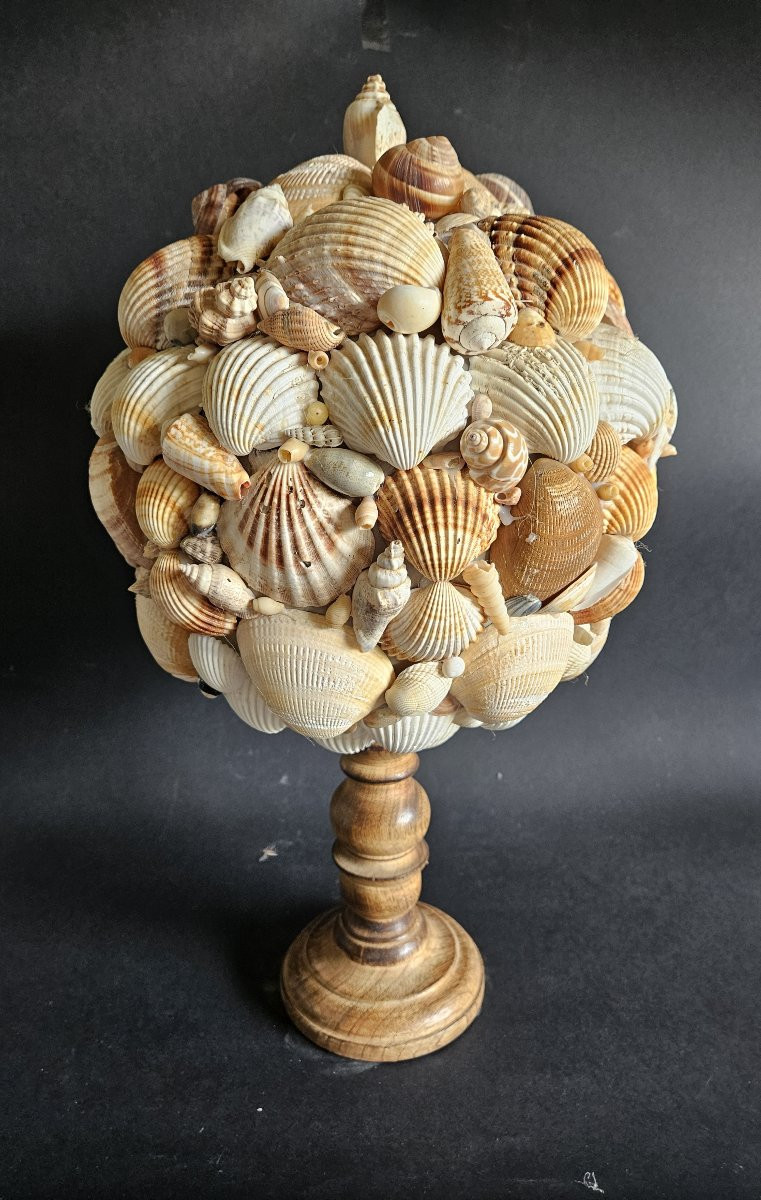 Shell Ball Mounted On A Wooden Base-photo-1