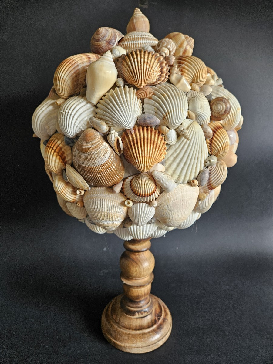 Shell Ball Mounted On A Wooden Base