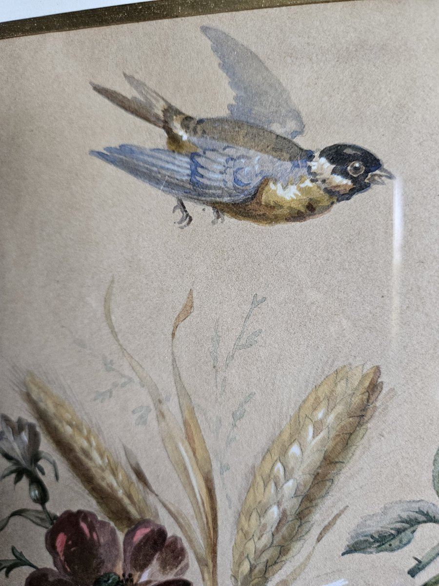 Fleurs et oiseau - Aquarelle 19ème siècle-photo-3